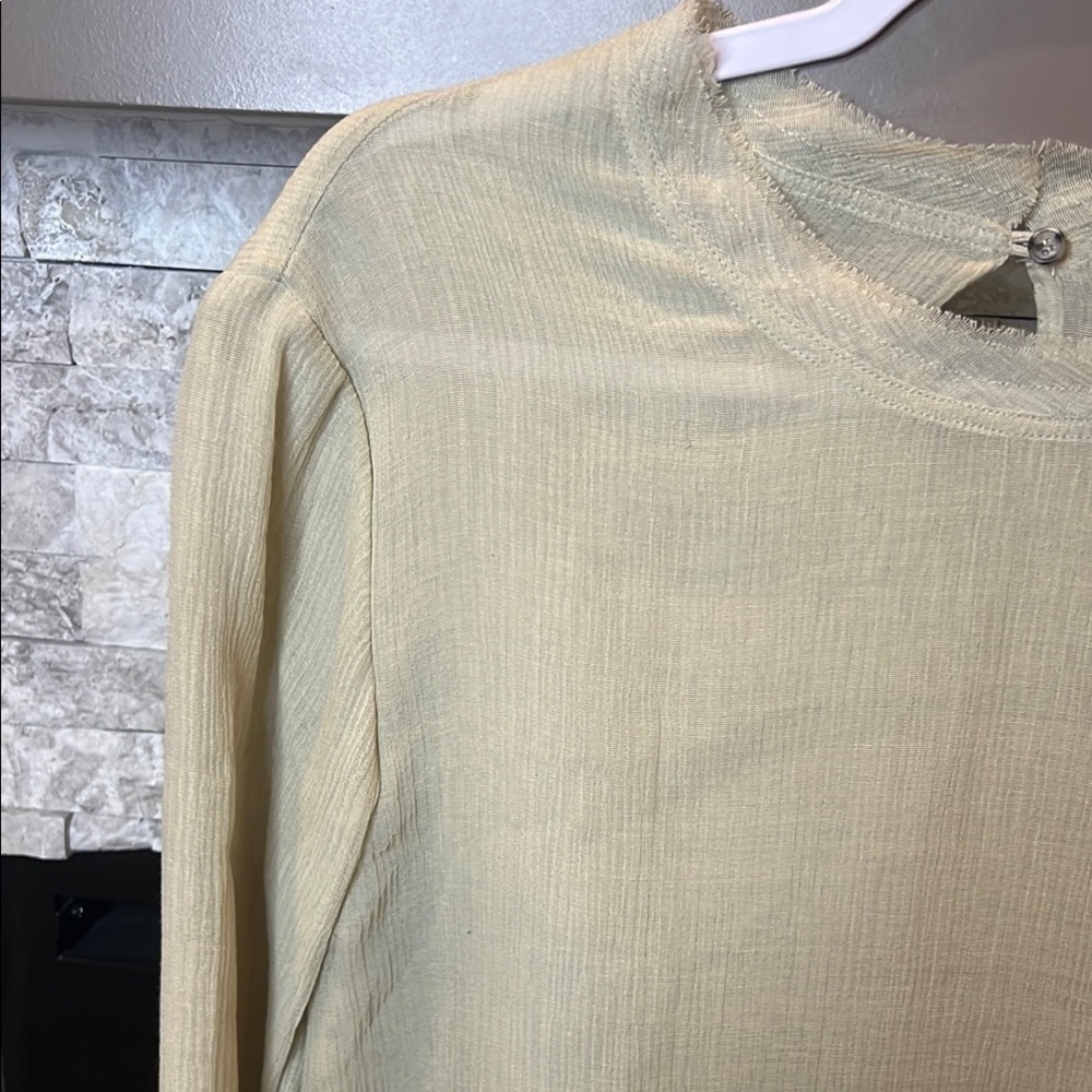 Zara Cream Long Sleeve Sheer Top - Picture 4 of 12
